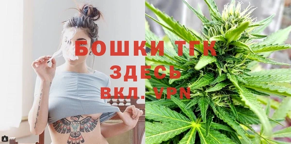 PSILOCYBIN Балахна