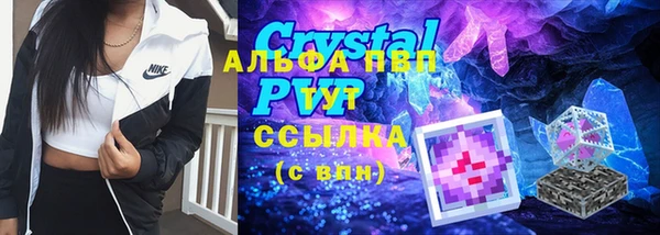 сатива Баксан